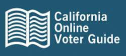 Voter Guide Logo