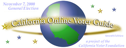 Voter Guide Logo